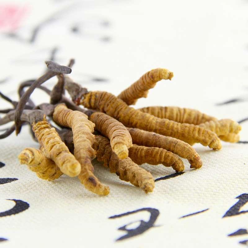 src=http_%2F%2Fwww.chongcao.cn%2Fuploads%2Fallimg%2F170504%2F1-1F504224542X3.jpg&refer=http_%2F%2Fww