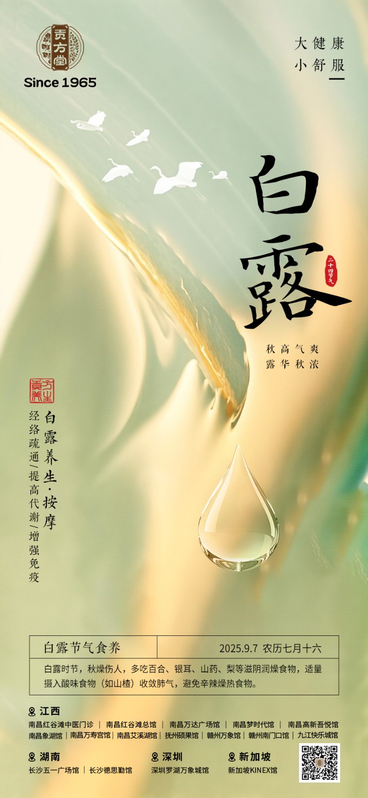 白露-公众号.jpg undefined